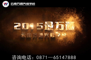 云南萬通走過最美2015年